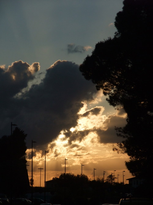 ���ա���ƻ�񡡥���ƥ����� �ȥ������ʡ�����ͼ�Ƥ� ι