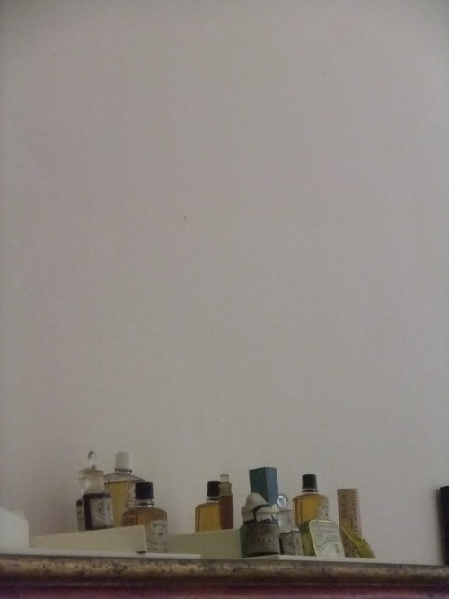 Ufficina Profumo Farmaceutica di St.Maria Novella ���󥿡��ޥꥢ���Υ����å����� �ե����ĥ�